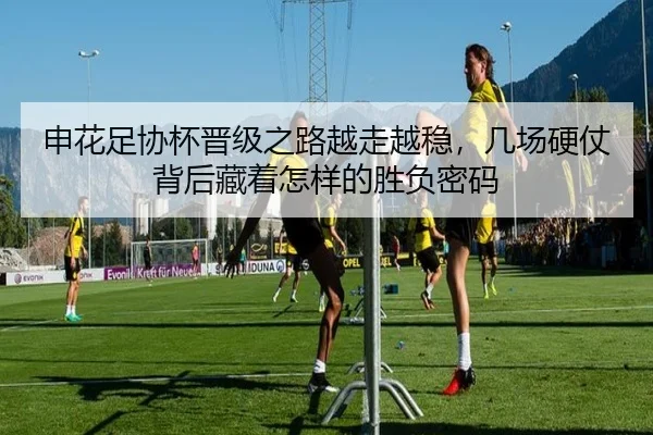 申花足协杯晋级之路越走越稳，几场硬仗背后藏着怎样的胜负密码